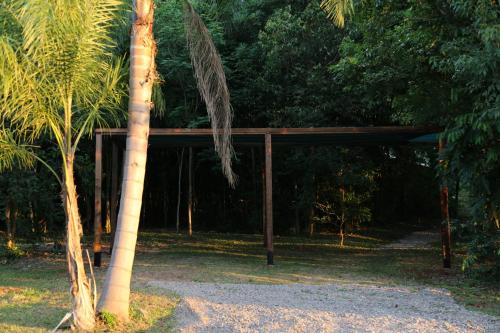 Gambar di galeri bagi Piel de Timbó di Aristóbulo del Valle