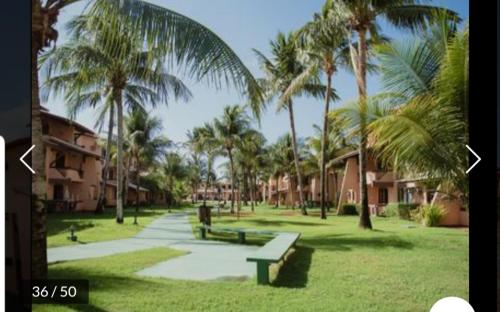 a park with benches and palm trees in the grass at Genipabu Summer House Guarajuba in Guarajuba