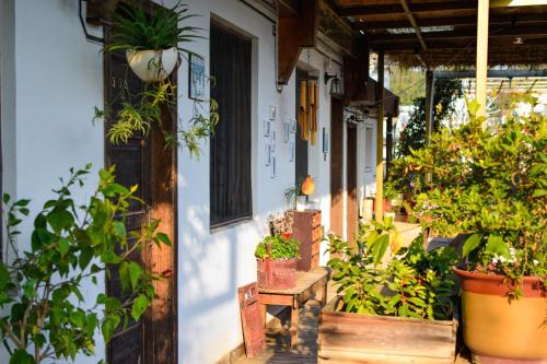 Κήπος έξω από το September Huizhou Inn