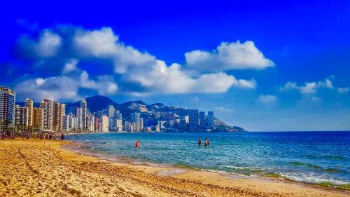 Piscis Of The Sea Benidorm