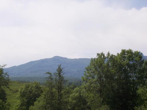a view of a mountain with trees in the foreground at Pensiunea Mara in Deseşti