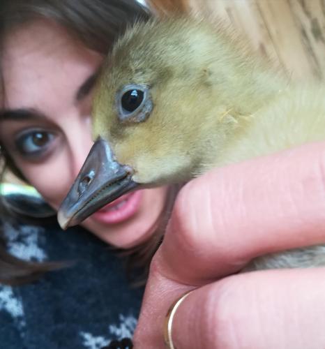 a woman holding a baby duck in her hand at Agriturismo Il Riccio in Monticchio