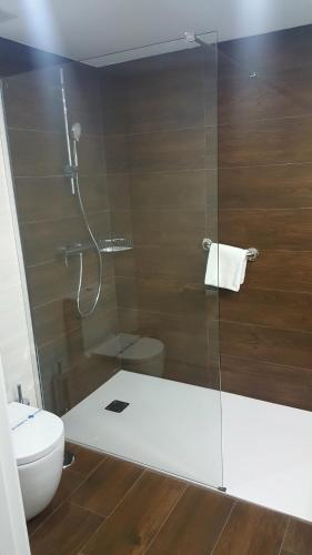 a bathroom with a glass shower with a toilet at Apartamentos Centro Colón in Madrid