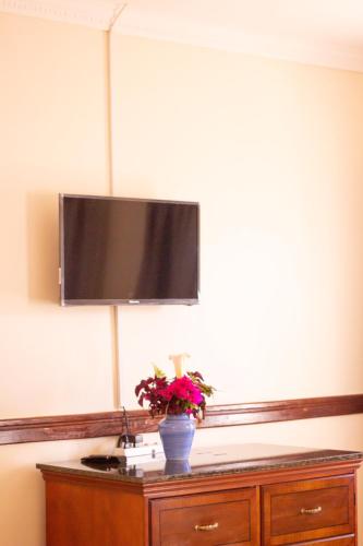 a television on a wall above a dresser with a plant at Malabi Exclusive Lodges in Lilongwe