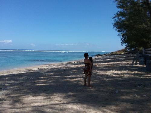 a person standing on a beach looking at the ocean at Cote Plage in La Saline les Bains