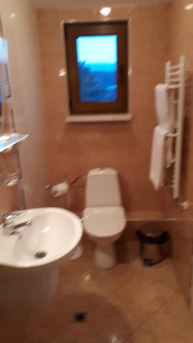 uma casa de banho com um lavatório, um WC e uma televisão em Guest House Blisten em Sófia