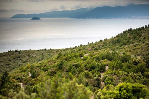 Φυσικό τοπίο κοντά σε αυτό το ξενοδοχείο διαμερισμάτων