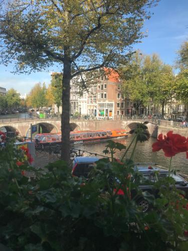 a view of a river with cars and a tree at Keizershouse Amsterdam in Amsterdam