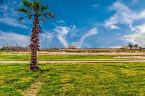 a palm tree in the middle of a field at Pathway 14820 in Padre Island