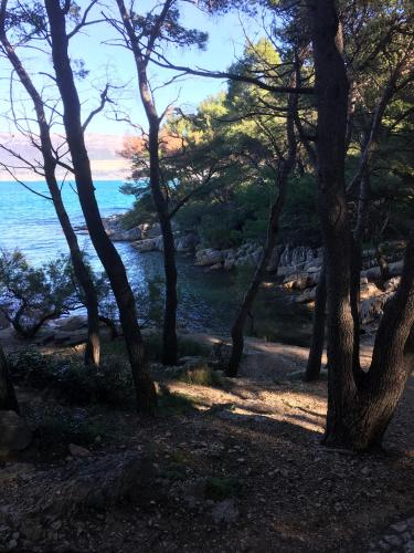 Un paisaje natural cerca de la casa de huéspedes