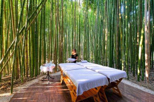 a woman sitting in front of a bamboo forest at Hotel Terme di Stigliano in Canale Monterano