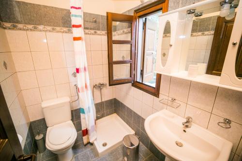 アギオス・イオアニス・ペリオンにあるNiriides Apartmentのバスルーム(トイレ、洗面台付)