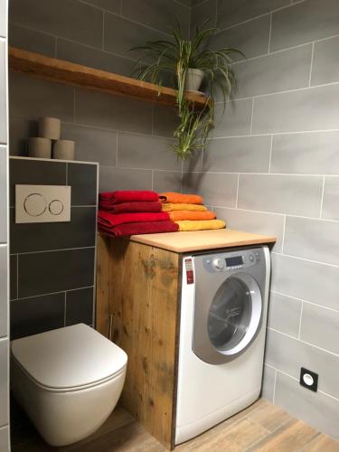 a laundry room with a washer and dryer at La Datcha du Parc in Husseren-Wesserling