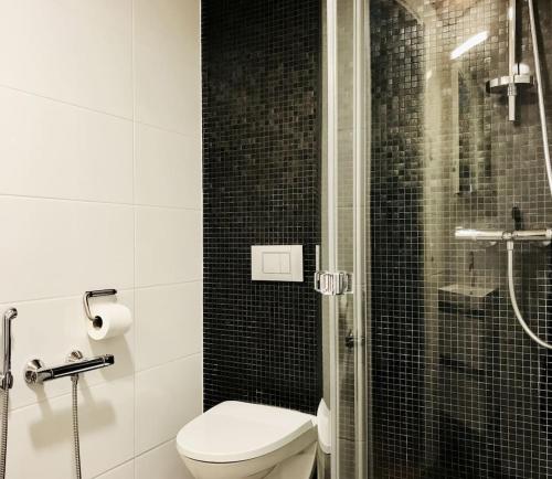 a bathroom with a toilet and a glass shower at Helsinki 00100 Vuorikatu 40,5 m2 in Helsinki