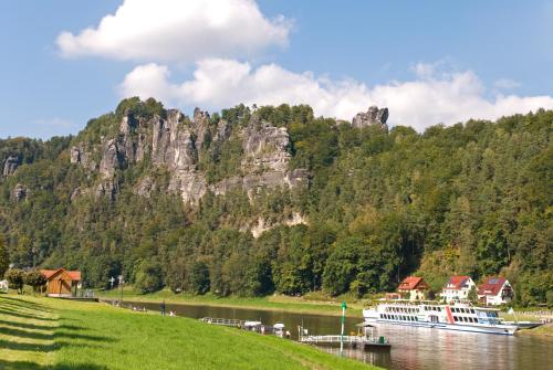 a boat on a river with a mountain in the background at Ferienwohnungen Elbjuwel in Rathen