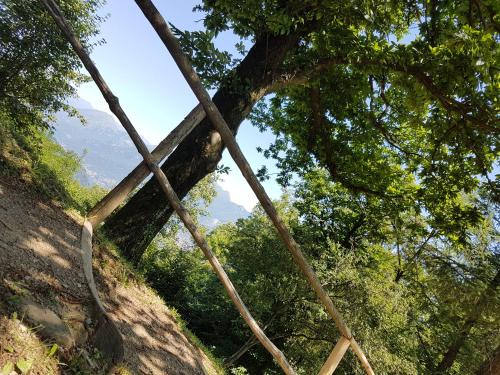 a view from the top of a wooden bridge in a forest at Amata Valgre Affittacamere, comfort e pulizia eccezionali!! in Olginate