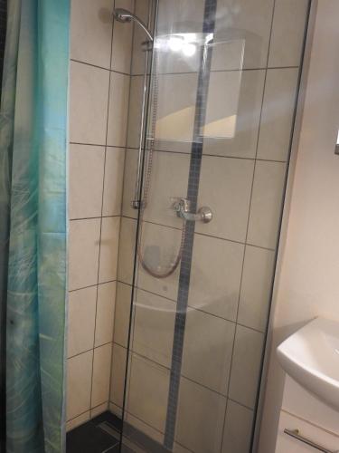 a shower with a glass door in a bathroom at Ferienwohnungen am Hauptplatz in Pirna