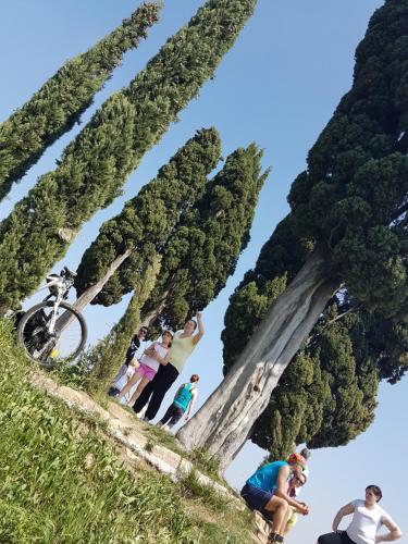 a group of people standing around a tree formation at Amata Valgre Affittacamere, comfort e pulizia eccezionali!! in Olginate