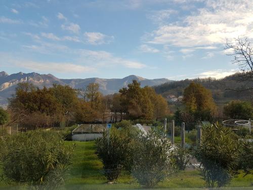 a view of a garden with mountains in the background at Amata Valgre Affittacamere, comfort e pulizia eccezionali!! in Olginate