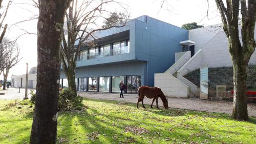 a horse grazing in the grass in front of a building at Albergue de Santa Luzia - Peregrinos de Santiago in Viana do Castelo