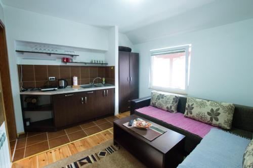ein Wohnzimmer mit einem Sofa und einer Küche in der Unterkunft Rooms Sejo in Kolašin