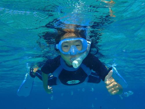 
Snorkeling and/or diving at the hostel or nearby
