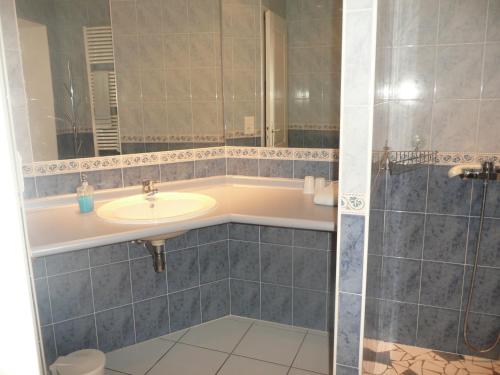 y baño con lavabo y ducha. en Galot La Chapelle en Gardegan-et-Tourtirac