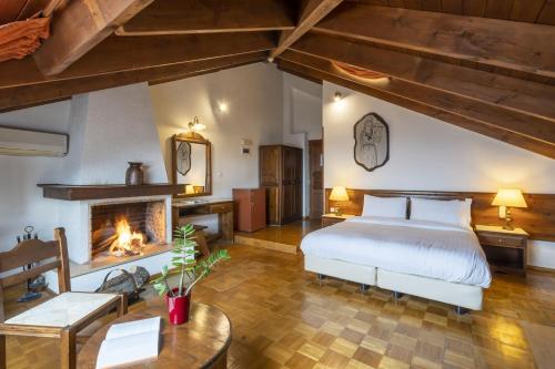 a bedroom with a bed and a fireplace at Domotel Anemolia Mountain Resort in Arachova