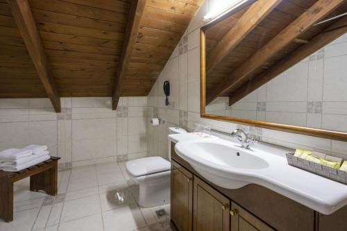 Ванная комната в Domotel Anemolia Mountain Resort