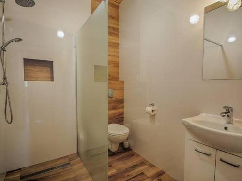 La salle de bains est pourvue d'une douche, de toilettes et d'un lavabo. dans l'établissement Pensjonat Leśniczówka Apartamenty Gajówka, à Berezka
