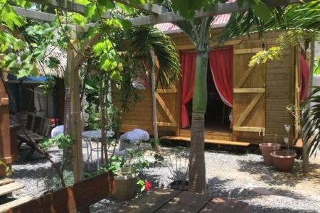 a garden with a house with a palm tree and a patio at AUX ILES d'AMOUR in Terre-de-Haut