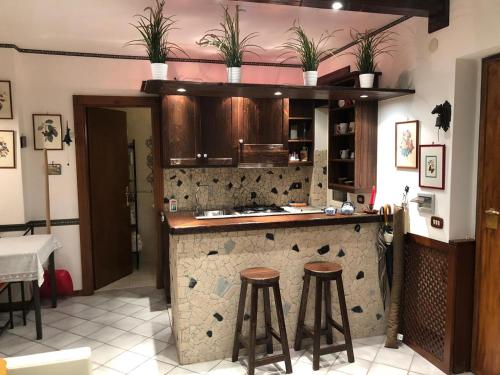 een keuken met een aanrecht met krukken en planten bij Peak House in Castel di Sangro