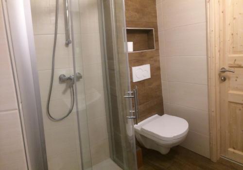 a bathroom with a toilet and a shower at Haus Georgi in Sankt Lorenzen ob Murau