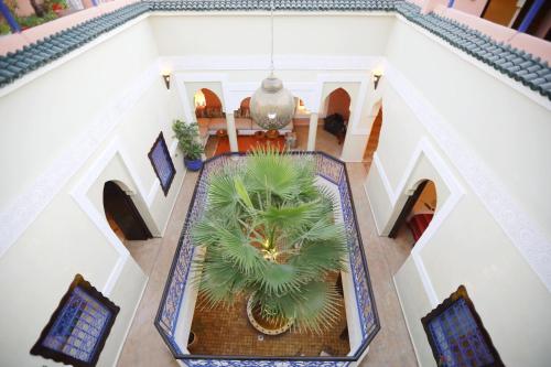 einen Blick über ein Haus mit einer Palme in der Auster in der Unterkunft Riad Kamal Medina in Marrakesch