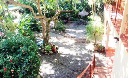 a garden with a tree and some plants at Hotel Tropical Sands Dominical in Dominical
