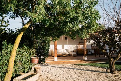 a living room with a couch and a tree at Casas da Maria - sea & countryside - Sintra in Sintra