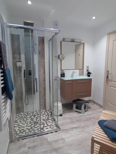 une salle de bain avec douche et lavabo dans l'établissement 