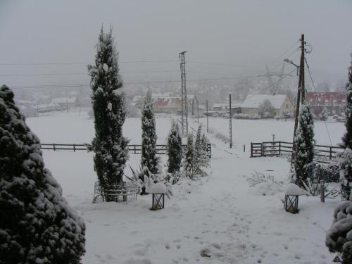 Obiekt Rezydencja Villa Nova zimą