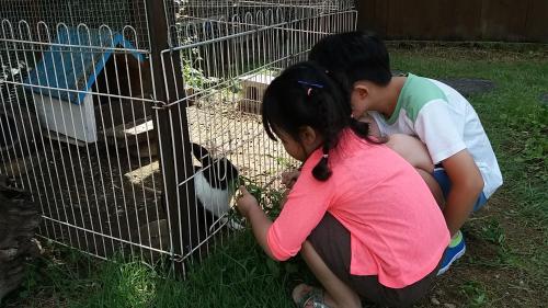 a boy and a girl petting a bear in a cage at Forest of Color Pension in Hongcheon