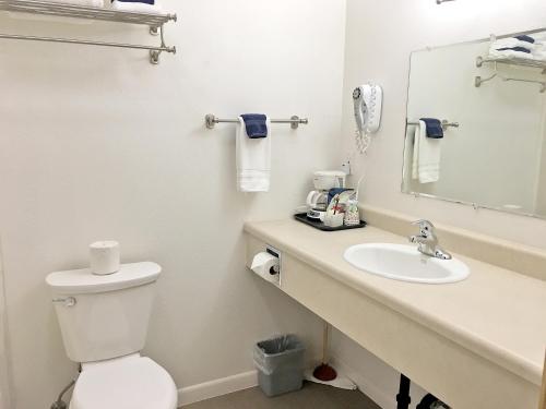 a bathroom with a toilet and a sink and a mirror at Park Motel and Cabins in Florence