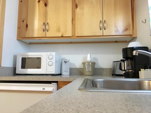a kitchen with a sink and a microwave at Park Motel and Cabins in Florence