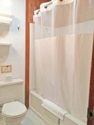 a bathroom with a toilet and a shower curtain at Park Motel and Cabins in Florence