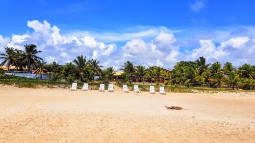 a row of chairs on a beach with palm trees at Linda Casa de Praia em Itacimirim in Itacimirim
