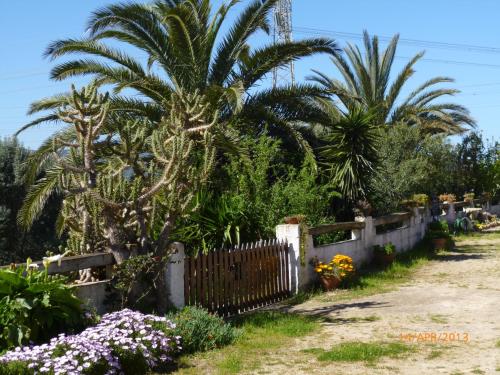 Κήπος έξω από το Agriturismo Cuile de Molino