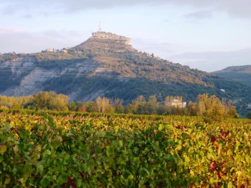 a vineyard with a mountain in the background at Rev'ôthijol Vacances in Saint Alban Auriolles
