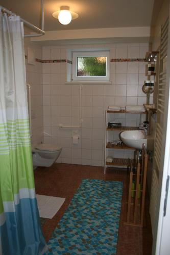a bathroom with a shower and a sink and a toilet at Pension Pock in Tieschen