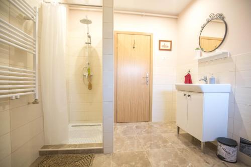 a bathroom with a shower and a sink and a mirror at LURIA apartmani - Self Check-in in Čakovec