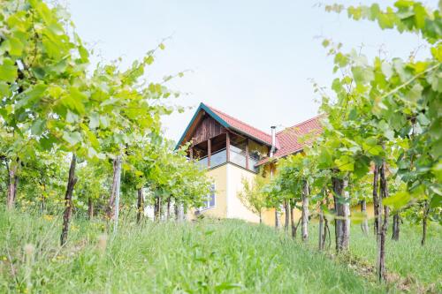 a house in the middle of a row of trees at Buschenschank Ofnerpeter in Sankt Stefan ob Stainz