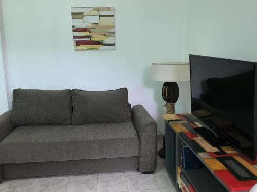 Il comprend un salon doté d'un canapé et d'une télévision à écran plat. dans l'établissement Del Bosque 487 Apartamento, à Ushuaia