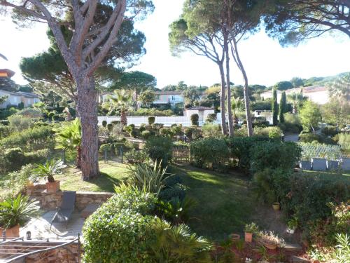 un jardin avec beaucoup de plantes et d'arbres dans l'établissement GASLIND - Golfe de St-Tropez - Mazet dans domaine privé avec piscine, à Gassin